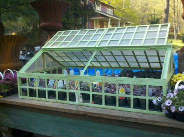 garden greenhouse